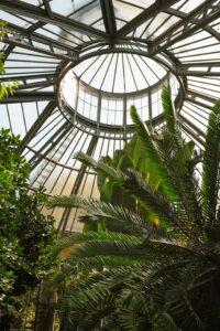 Besuchen Sie den hortus botanicus und umgeben Sie sich mit den schönsten Pflanzen und Blumen