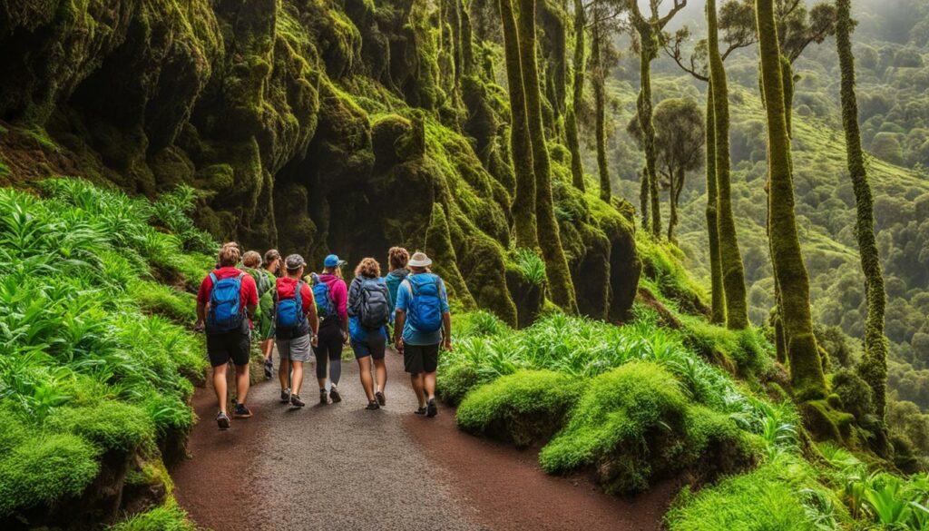 Wikinger Reisen Madeira